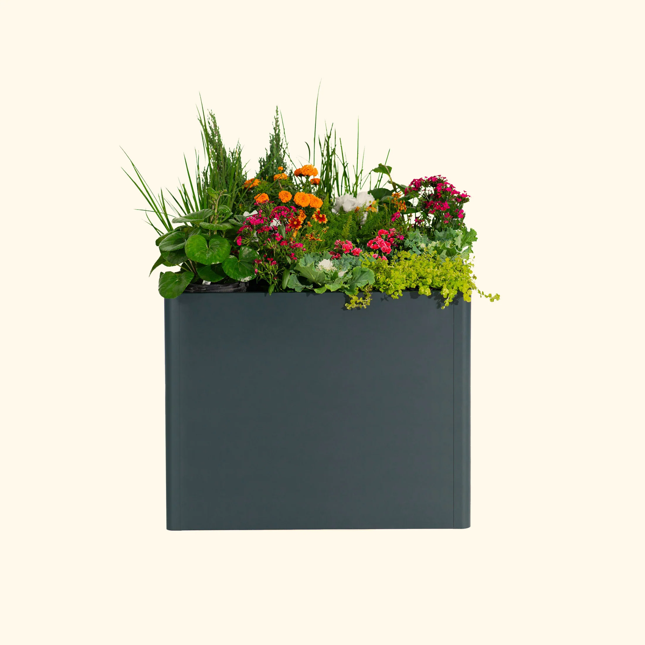 32" Extra Tall Modern 42" x 83" Metal Raised Garden Bed - 1 Pack - Image 9