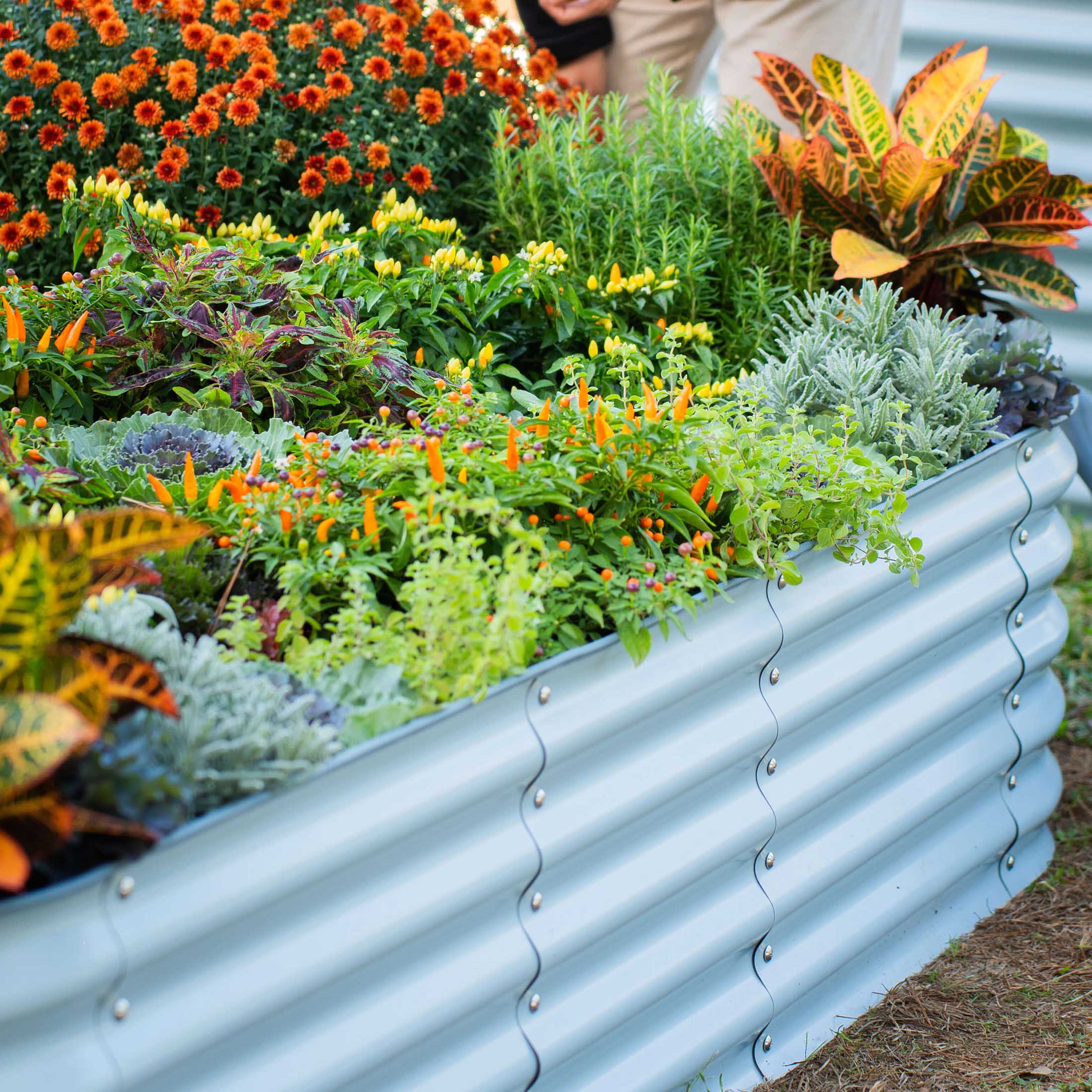 17" Tall 9 In 1 Large Modular Metal Raised Garden Bed Kit - Image 22