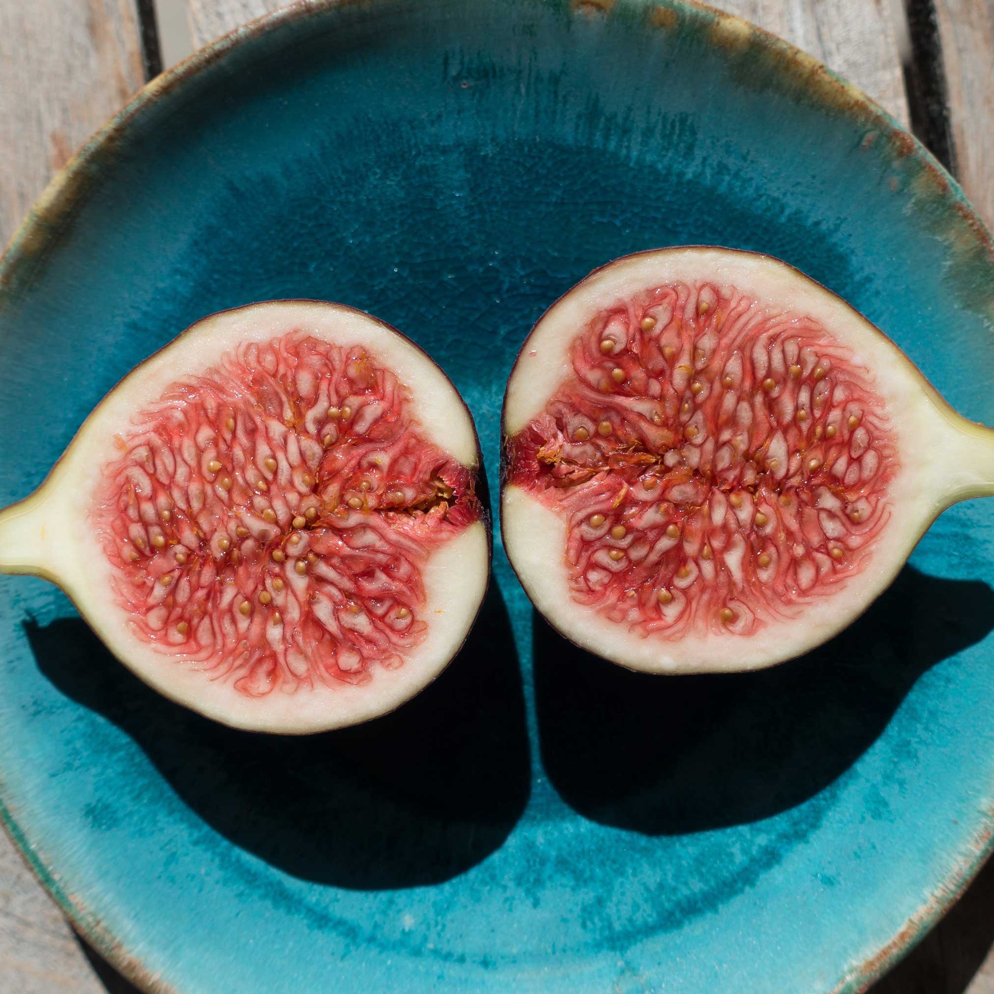 Brown Turkey Fig - Image 2