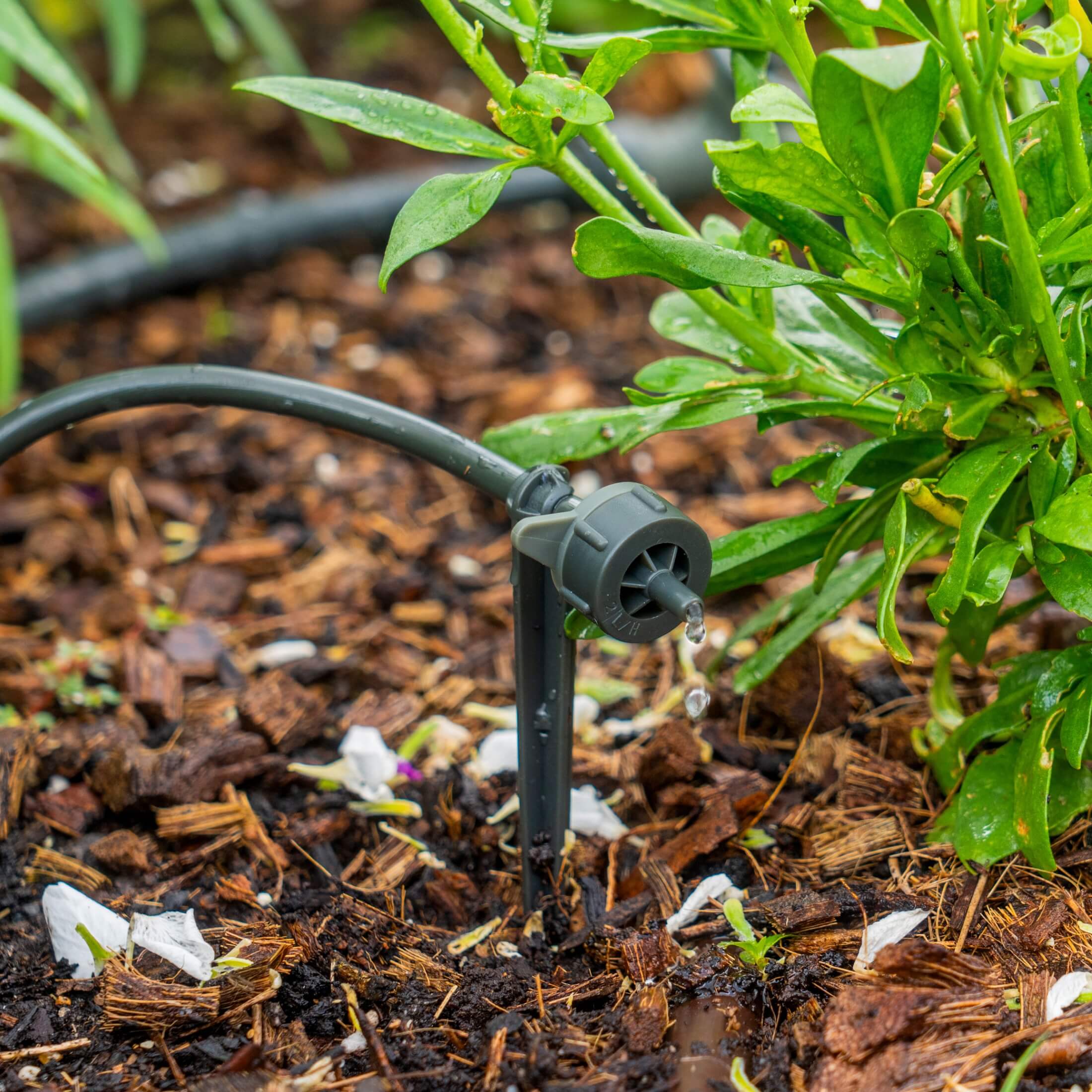 Drip Nozzle & Stake for Irrigation Kit - Image 2