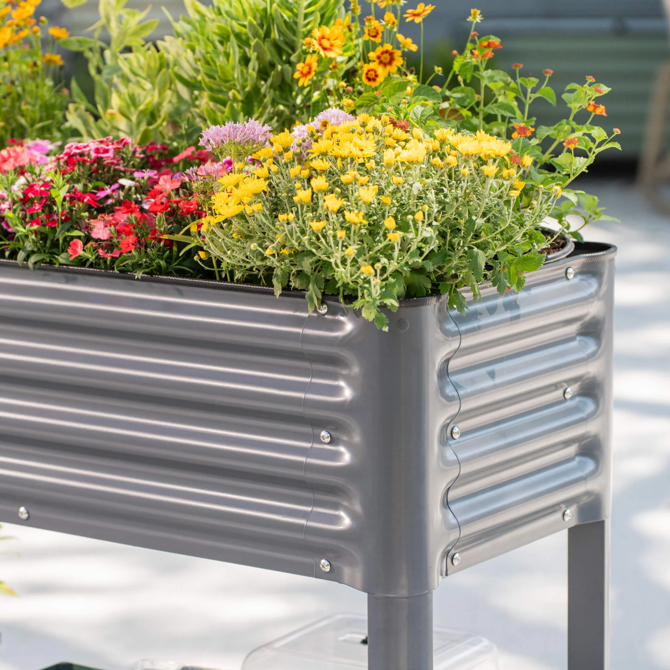 Elevated Garden Bed - Slim Series 1.5' x 3.5' - Image 18