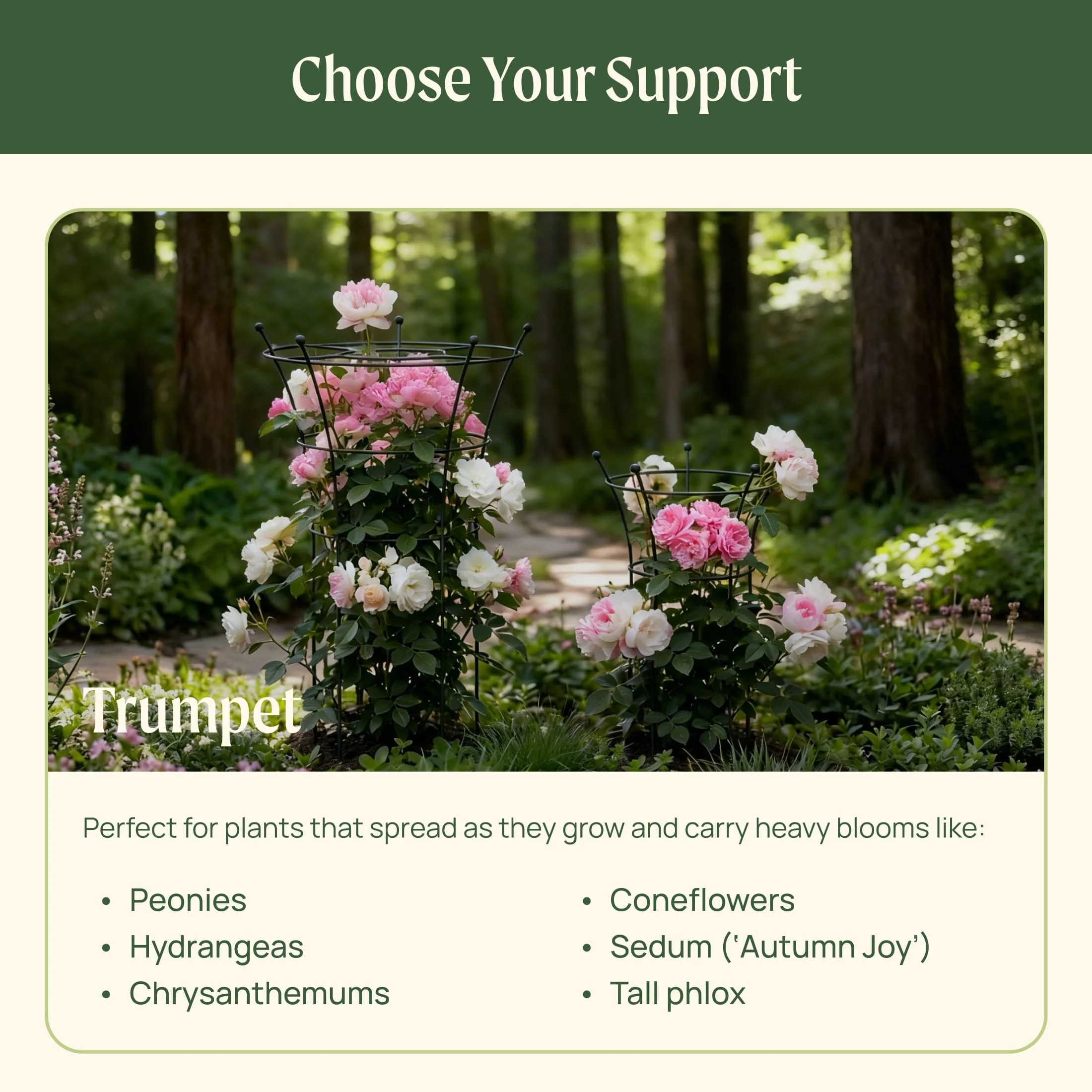 Flower Cage Trumpet - 2 Pack - Image 12