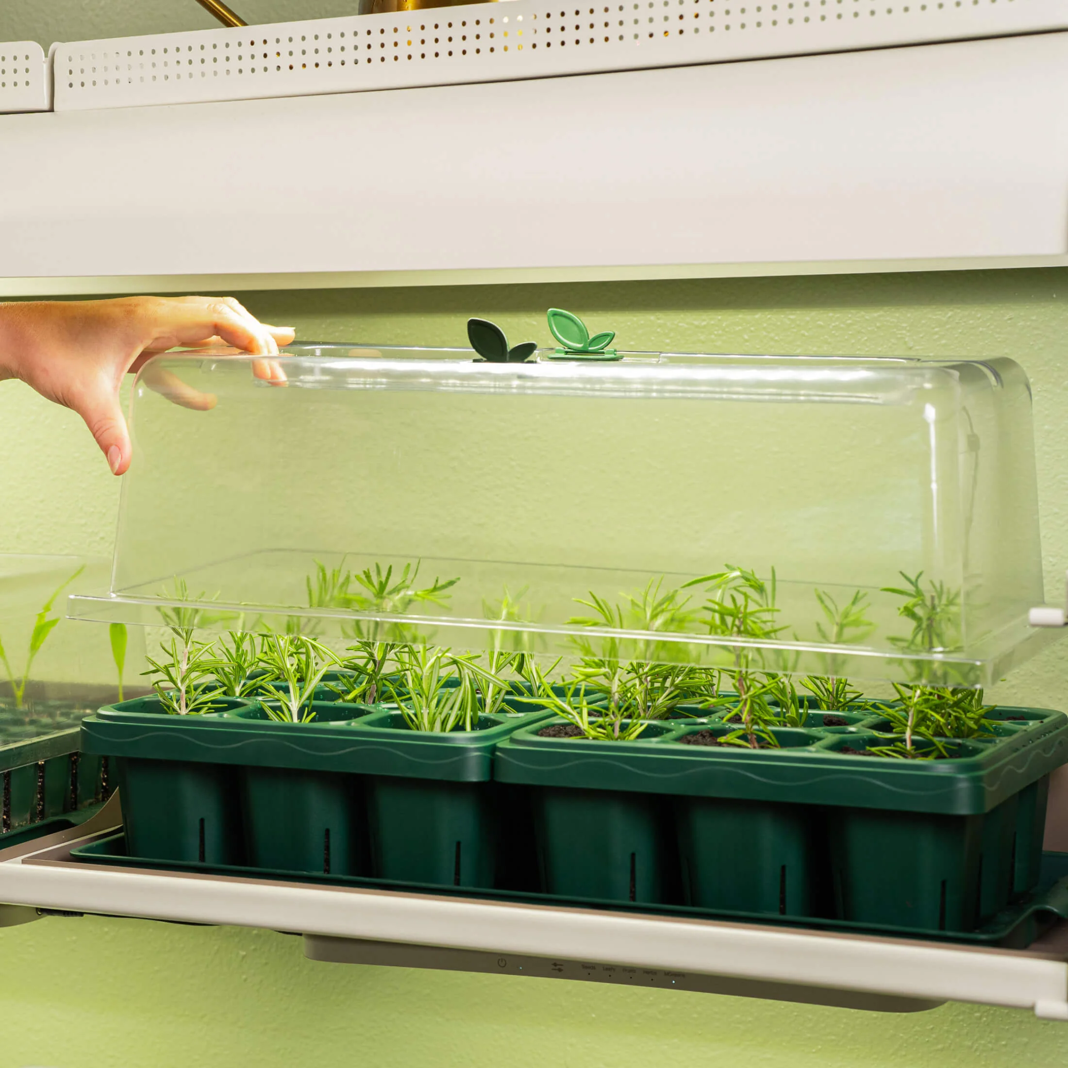 Giga Seed Starting Bundle - 25 cm × 50 cm - Image 4