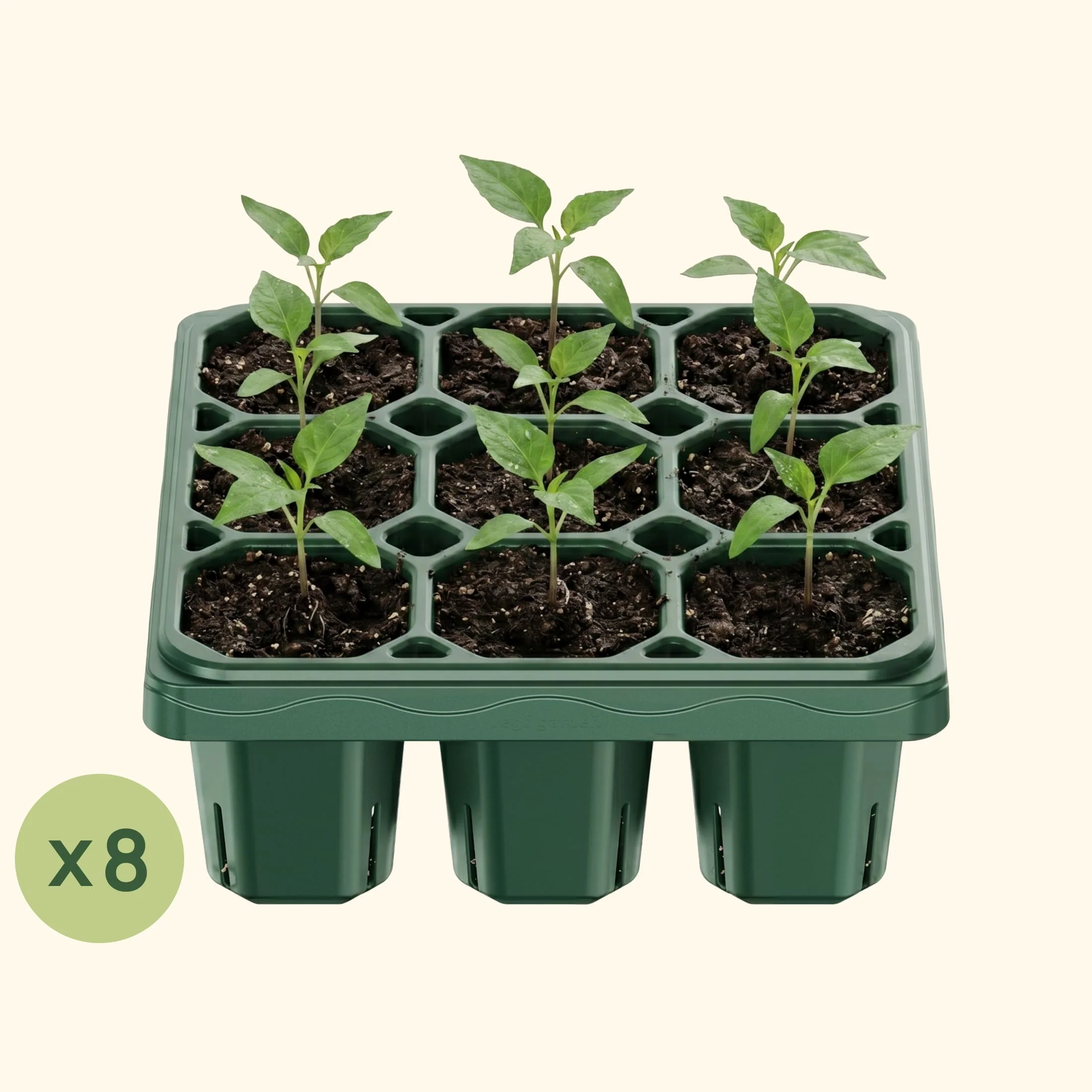 Giga Seedling Tray - 10" x 10" - Image 13