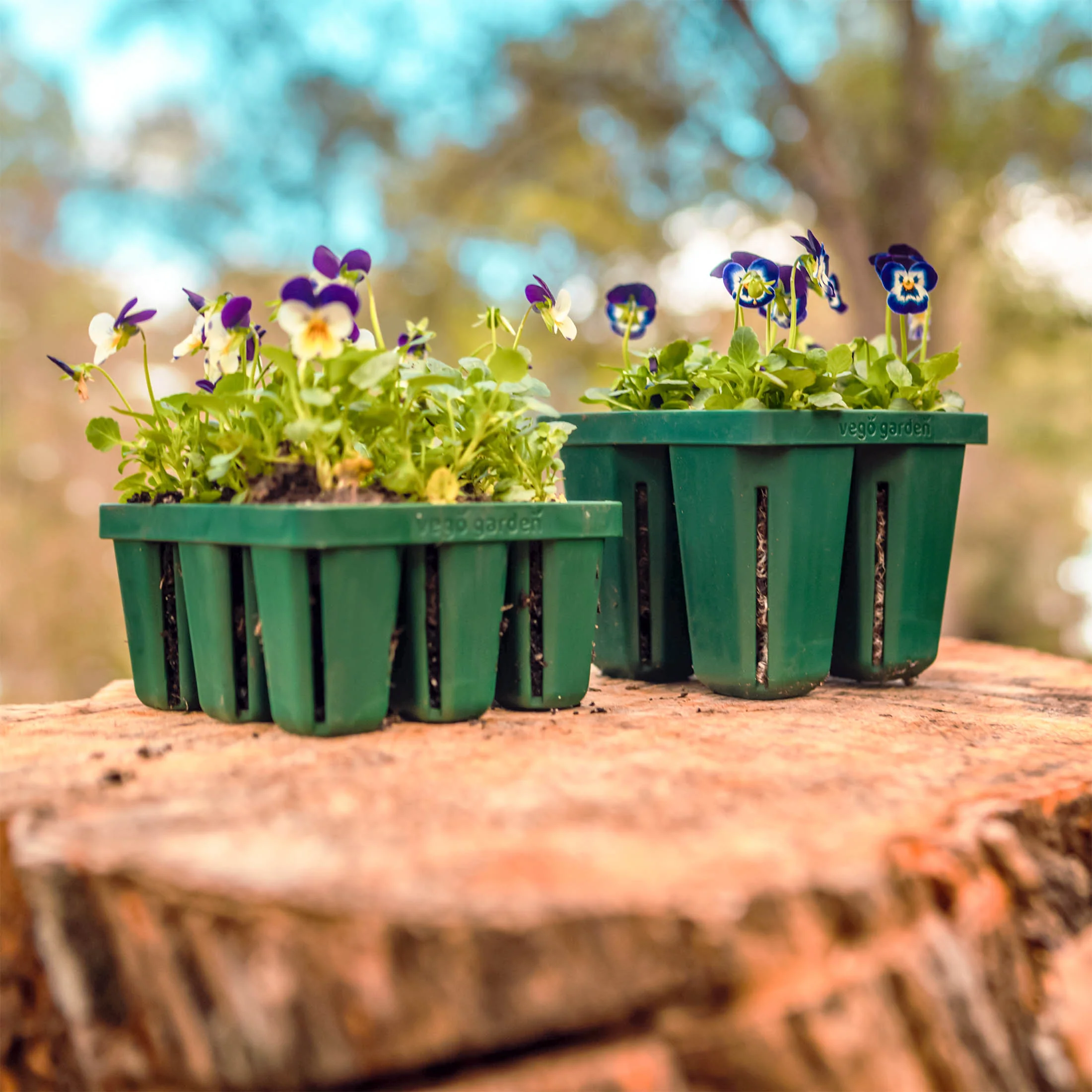 Seed Starting Bundle - 10" x 20" - Image 5