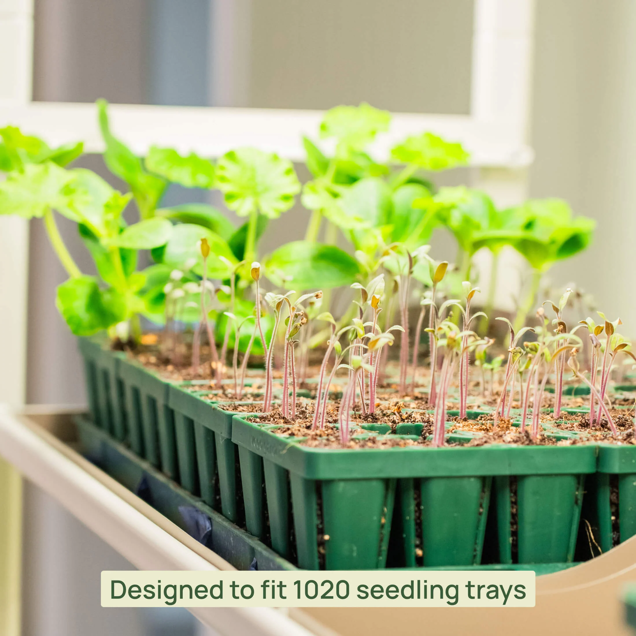 4 Tier Grow Light Garden with Storage - Image 12