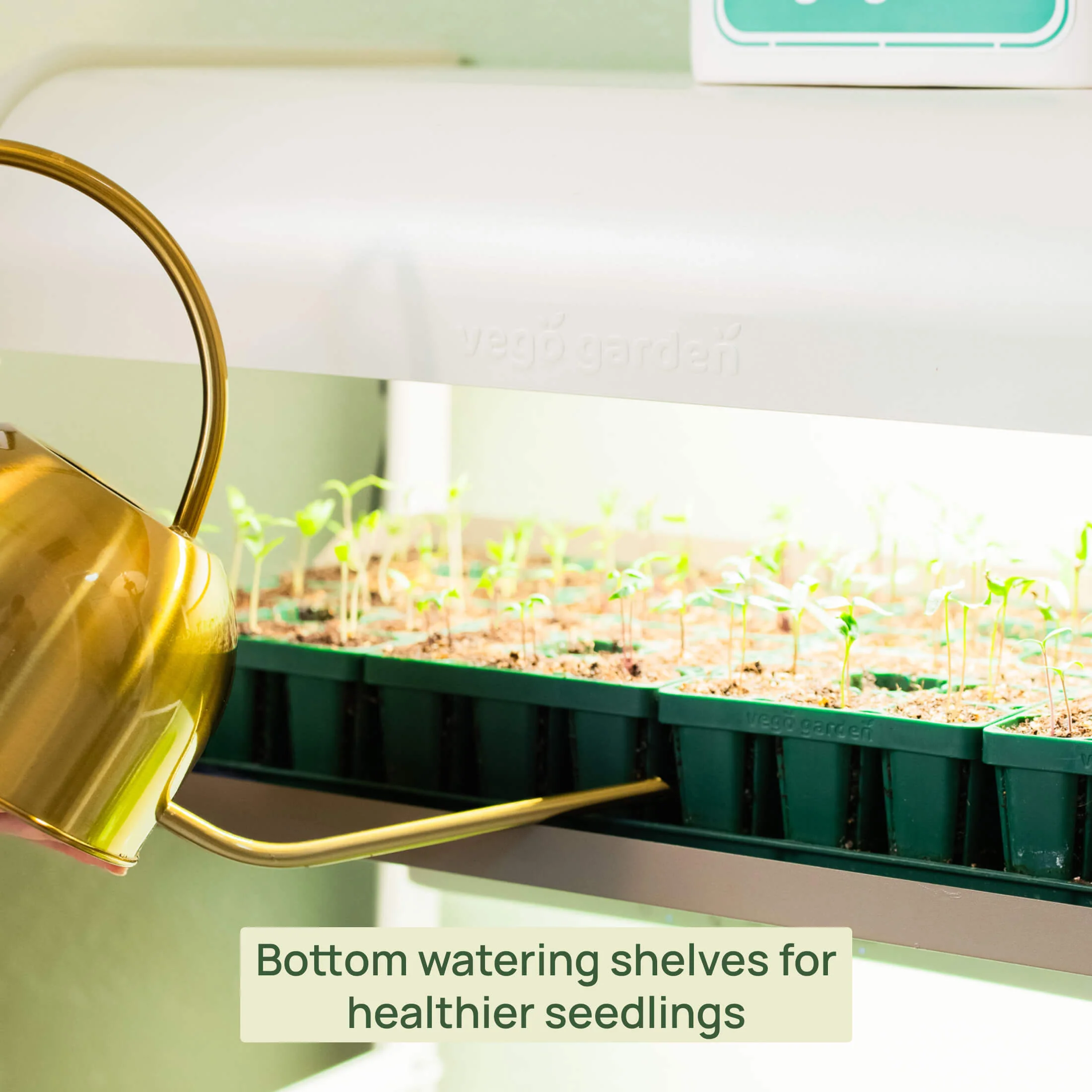4 Tier Grow Light Garden with Storage - Image 13