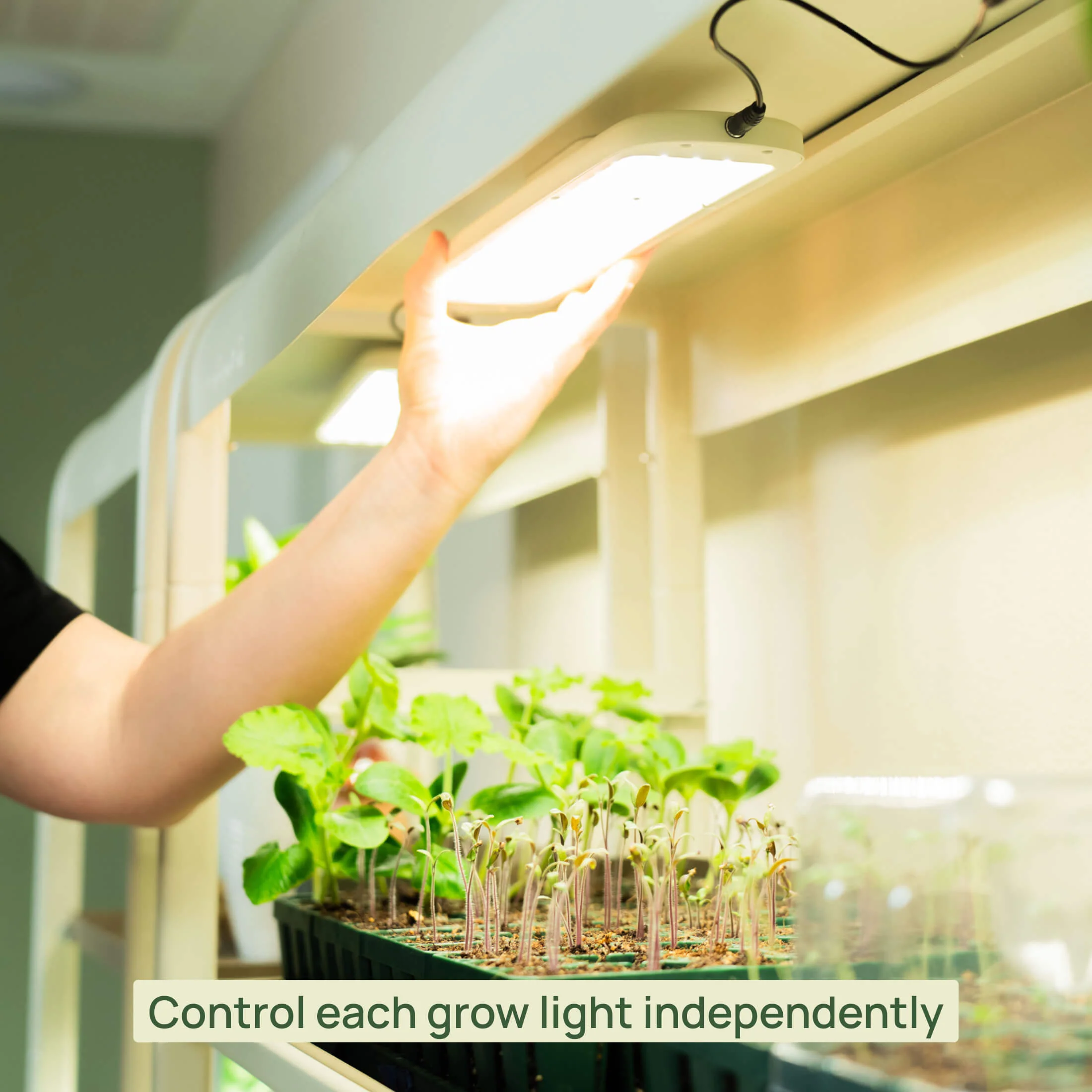 4 Tier Grow Light Garden with Storage - Image 9