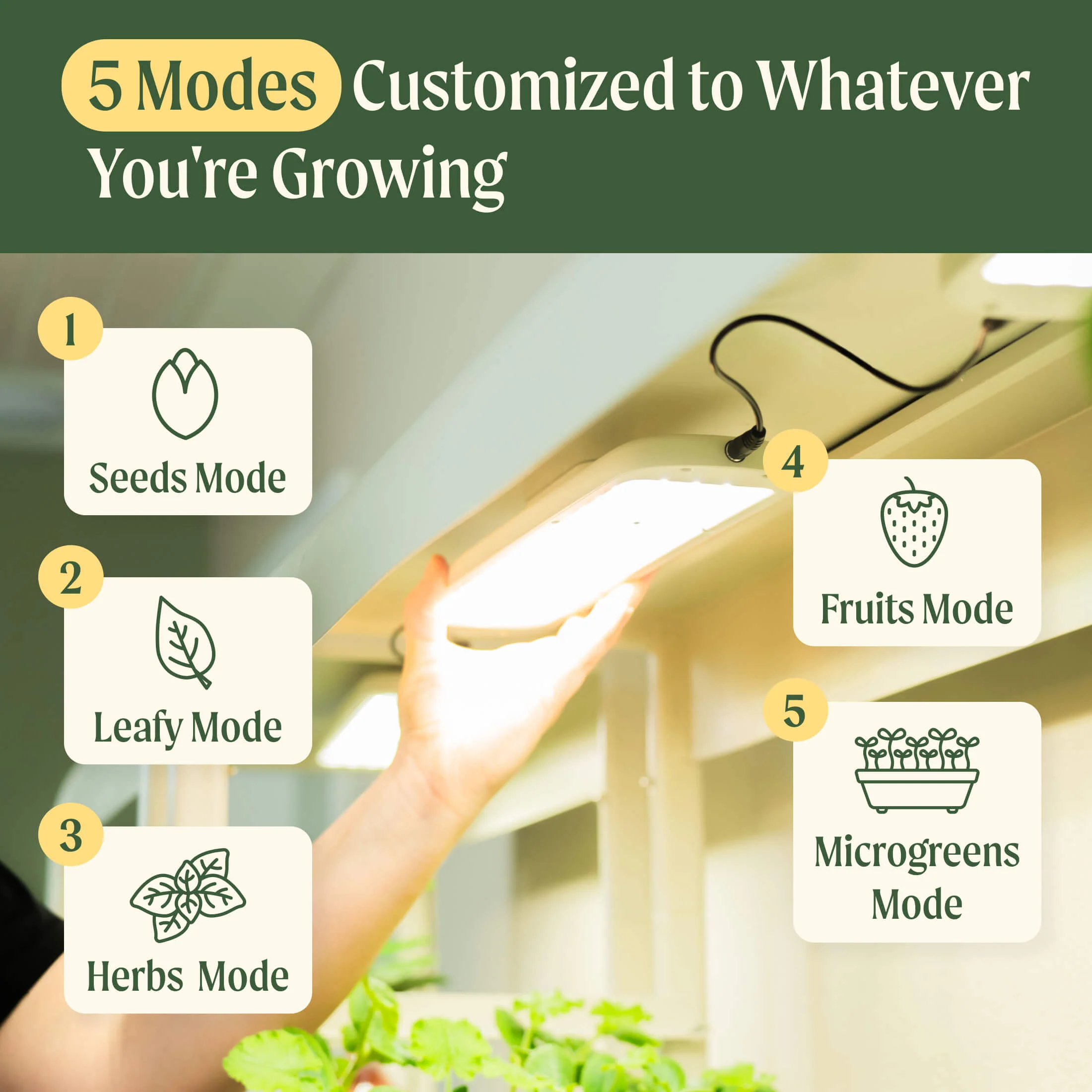 4 Tier Grow Light Garden Pro - Image 6