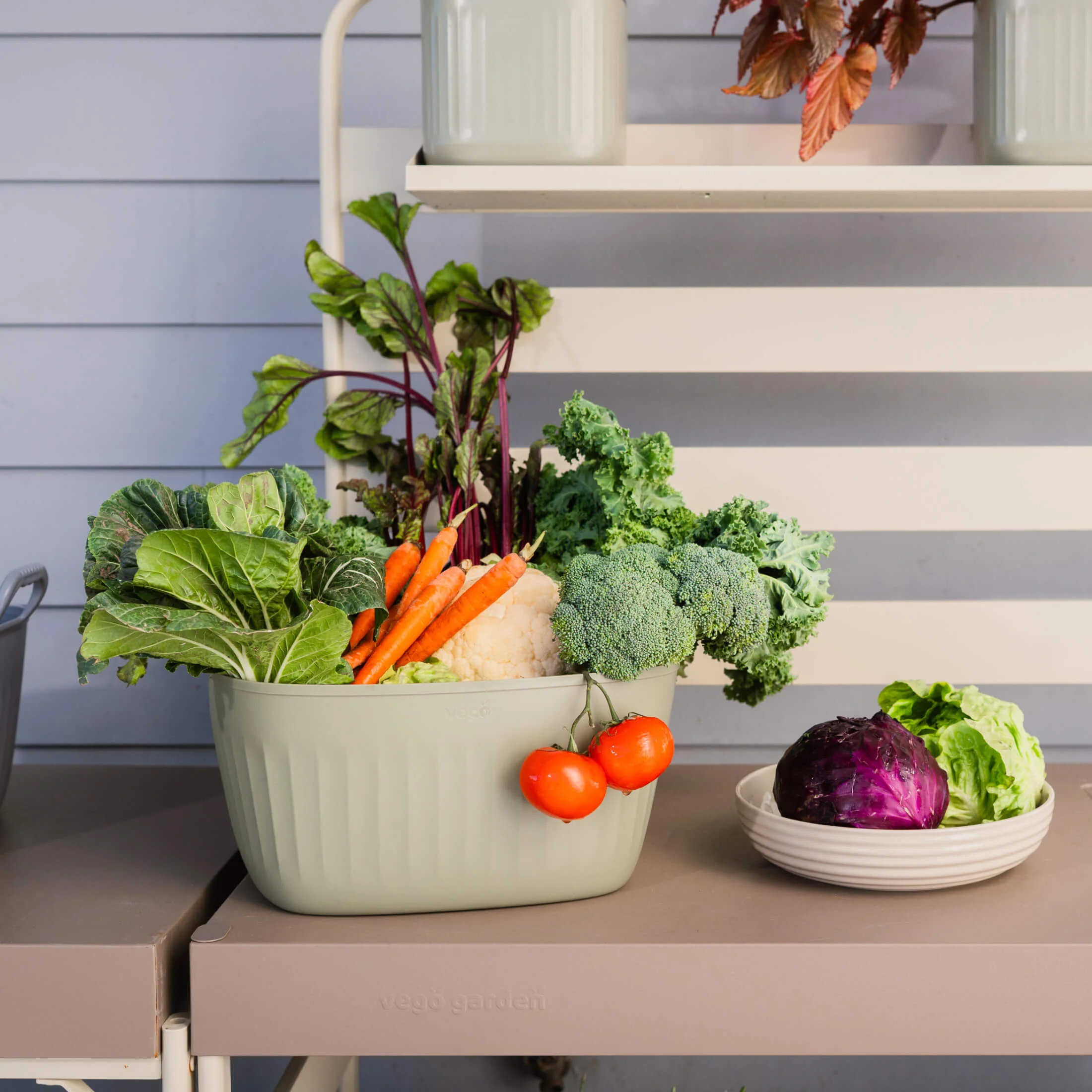 Vego FlexTrug™ - 4 Gallon Tub